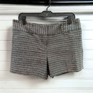 Ann Taylor Black and White Signature Shorts Size 8 • Women’s Dress Shorts